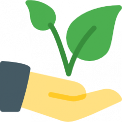 plant plant